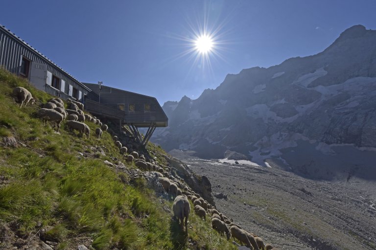 Refuge de la Selle au soleil